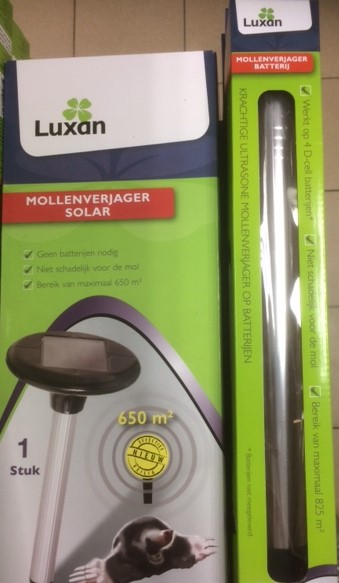 Mollen